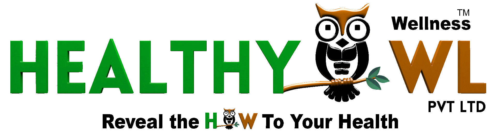 Healthy Owl Wellness